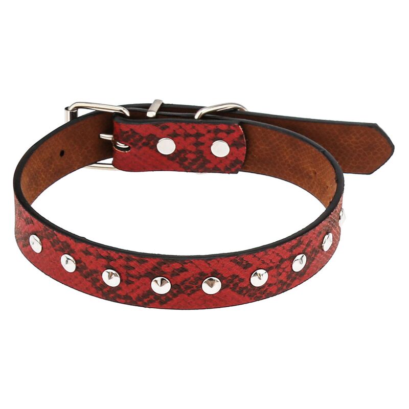 Ошейник для собаки Pet toys "Рептилия" 2,4х51см, металлическая застежка, под кожу, металл декор, на картоне, цвета в ассортименте: бордовый, синий, черный, черно-белый (Китай)