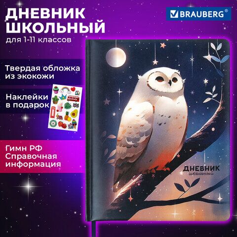 Дневник 1-11 класс 48 л., кожзам (твердая с поролоном), печать, наклейки, BRAUBERG, "Сова", 106947