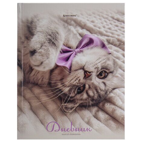 Дневник 5-11 класс 48л твердый, BRAUBERG, глянцевая ламинация, с подсказом, "Котик", 107188
