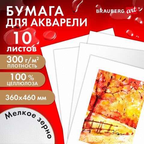 Бумага для акварели 300 г/м2 360x460 мм мелкое зерно, 10 листов, BRAUBERG ART PREMIERE, 113227