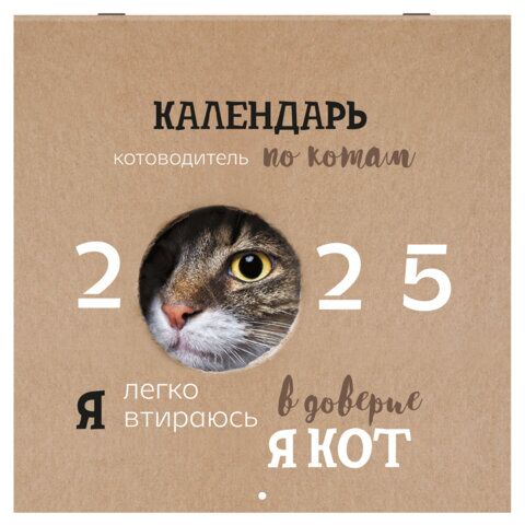 Календарь настенный перекидной 2025г, BRAUBERG, 12 листов, 29х29см, Смешные котики, 116165