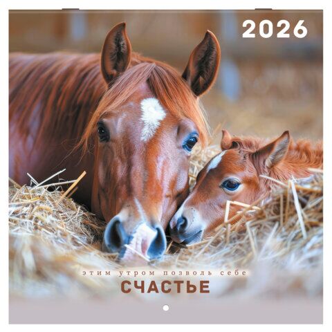 Календарь настенный перекидной 2026 г., BRAUBERG, 12 листов, 28,5х28,5 см, "Благородные лошади"
