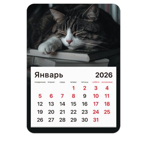 Календарь отрывной на магните на 2026 г., BRAUBERG, 130x180 мм, склейка, "Спящий кот"