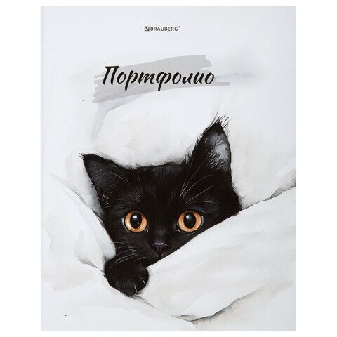 Папка-портфолио универсальная, 4 кольца, 20 файлов, 7БЦ матовая, BRAUBERG "Cat",