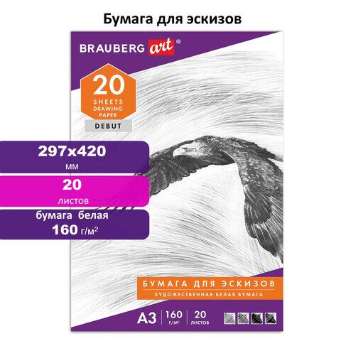 Папка для рисования БОЛЬШОГО ФОРМАТА А3, 20 л., 160 г/м2, BRAUBERG, 297х420 мм, Орел,