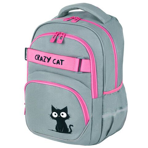 Рюкзак BRAUBERG MOTION, 2 отделения, 3 кармана, "Crazy cat", 41х28х17 см,