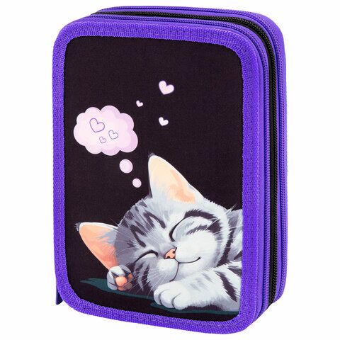 Пенал BRAUBERG 3 отд полиэстер, 21х14 см, "Sleeping kitten", 273538