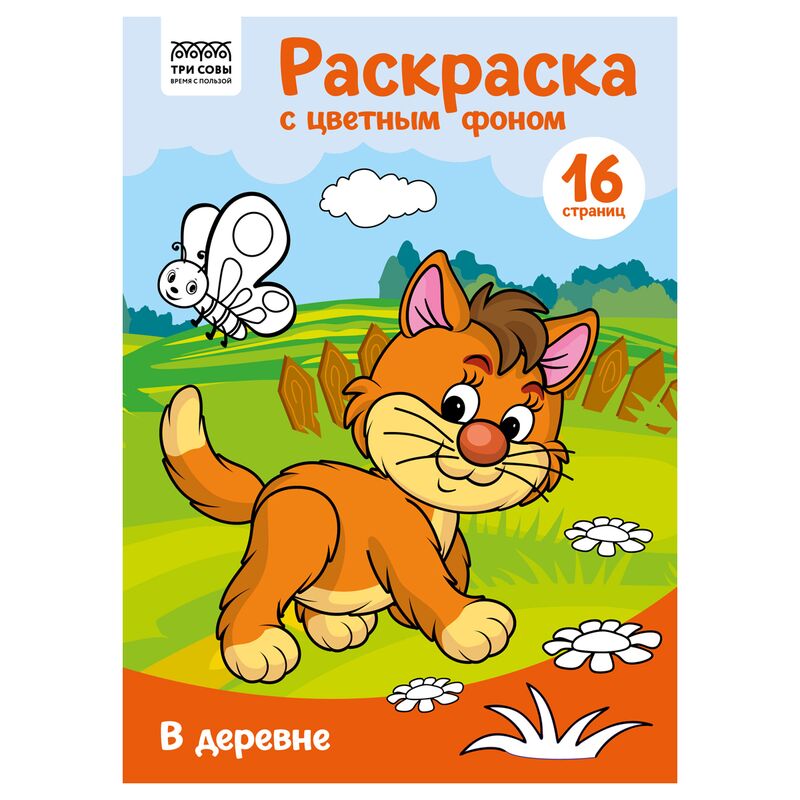 Раскраска А4 ТРИ СОВЫ В деревне 16стр. цветной фон