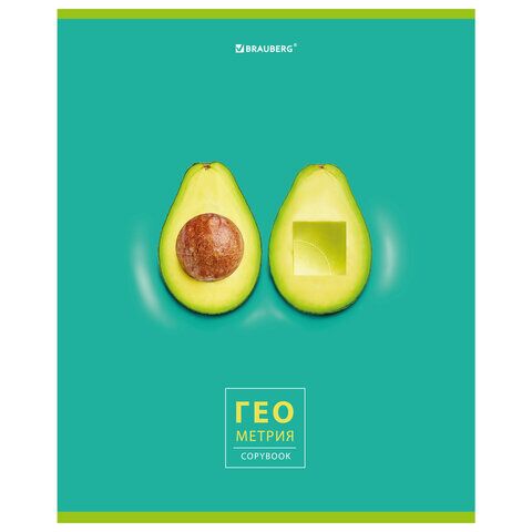 Тетрадь предметная AVOCADO 48 л., глянцевый лак, ГЕОМЕТРИЯ, клетка, BRAUBERG, 404278