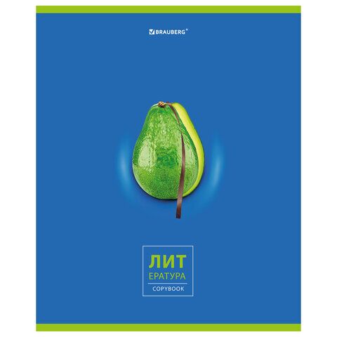 Тетрадь предметная AVOCADO 48 л., глянцевый лак, ЛИТЕРАТУРА, линия, подсказ, BRAUBERG, 404281