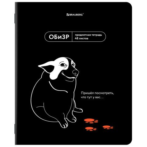 Тетрадь предметная МЕМЫ 48л TWIN-лак, ОБиЗР, клетка, подсказ, BRAUBERG, 405108