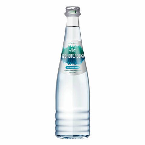 Вода негазированная минеральная ЧЕРНОГОЛОВСКАЯ, 0,33 л, стеклянная бутылка