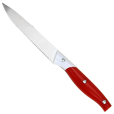Нож кухонный "Дуэт" 110мм из нержавеющей стали, пластмассовая ручка, цвета микс (Китай)