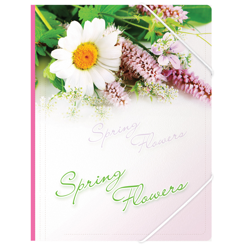 Папка на резинках А4 Berlingo Spring Flowers 550мкм, рисунок