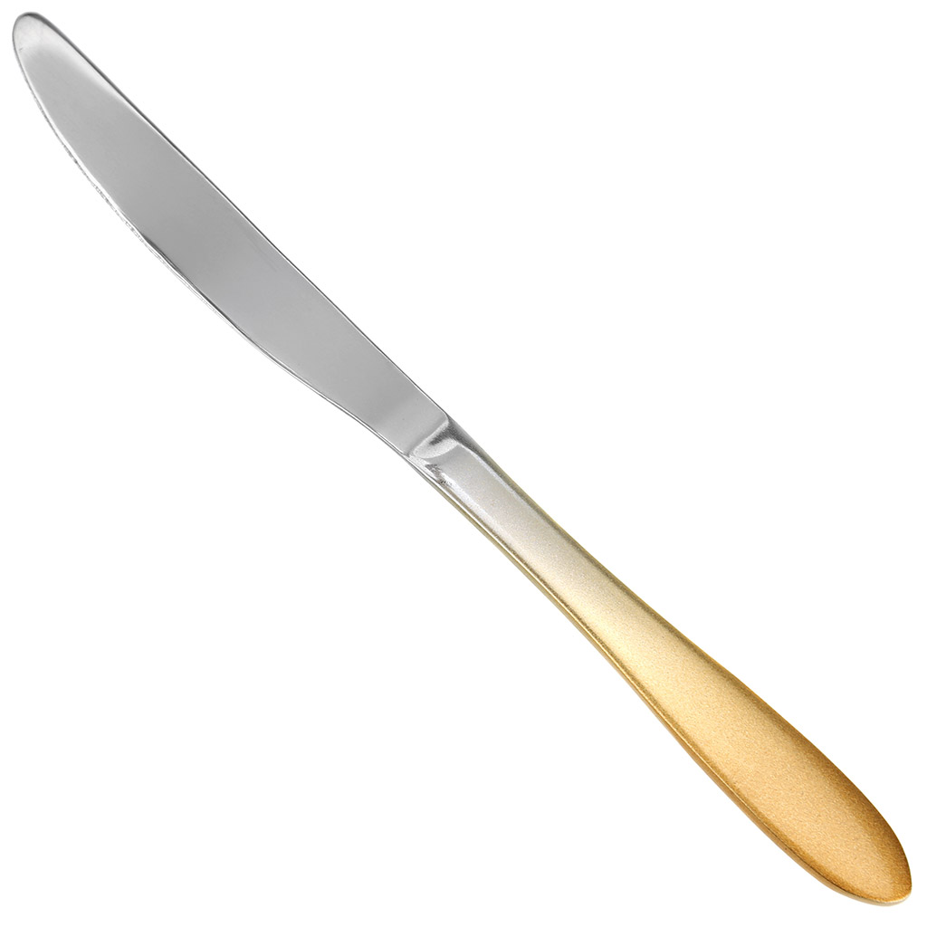 "Прогресс" Нож столовый из нержавеющей стали 23см, ручка-электролитическая обработка (Китай)