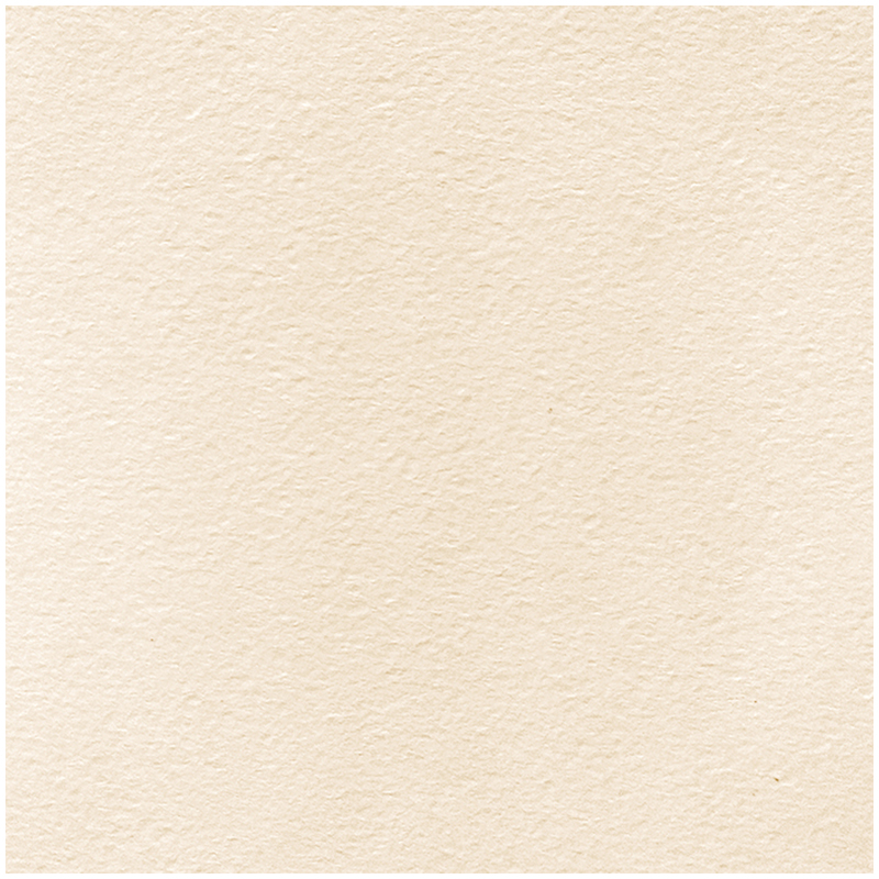 Бумага для акварели, 50л., А4, Лилия Холдинг, 200г/м2, молочная, крупное зерно