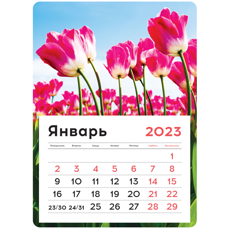 Календарь отрывной на магните 130*180мм склейка OfficeSpace Mono - Flowers, 2023г.