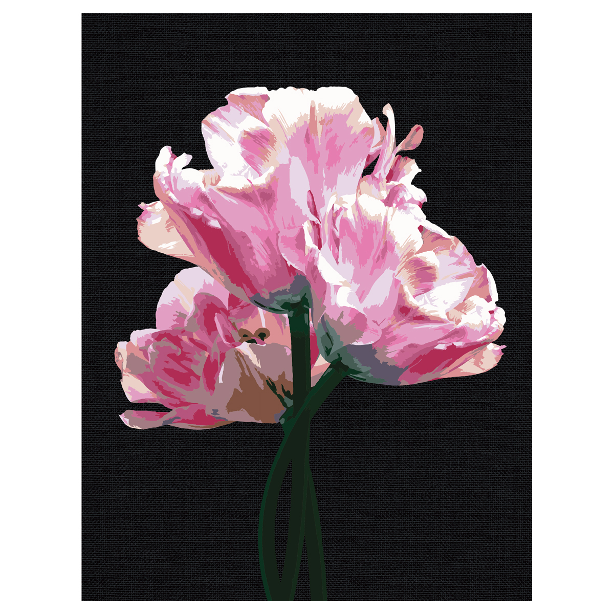 Картина по номерам на черном холсте ТРИ СОВЫ Розовые цветы 30*40 c акриловыми красками и кистями