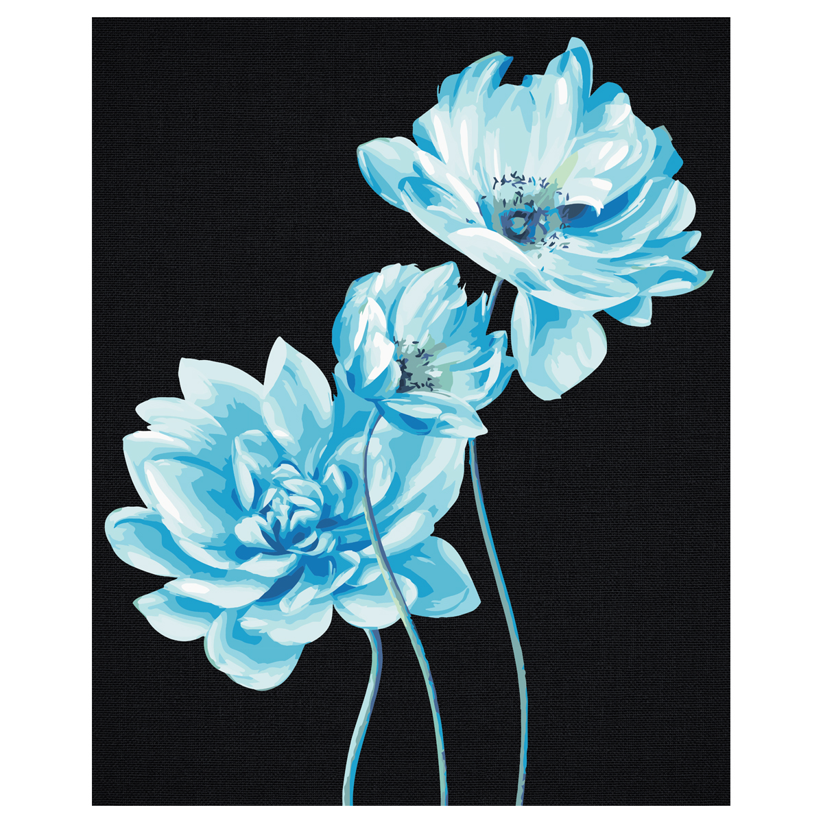 Картина по номерам на черном холсте ТРИ СОВЫ Голубые цветы, 40*50, c акриловыми красками и кистями