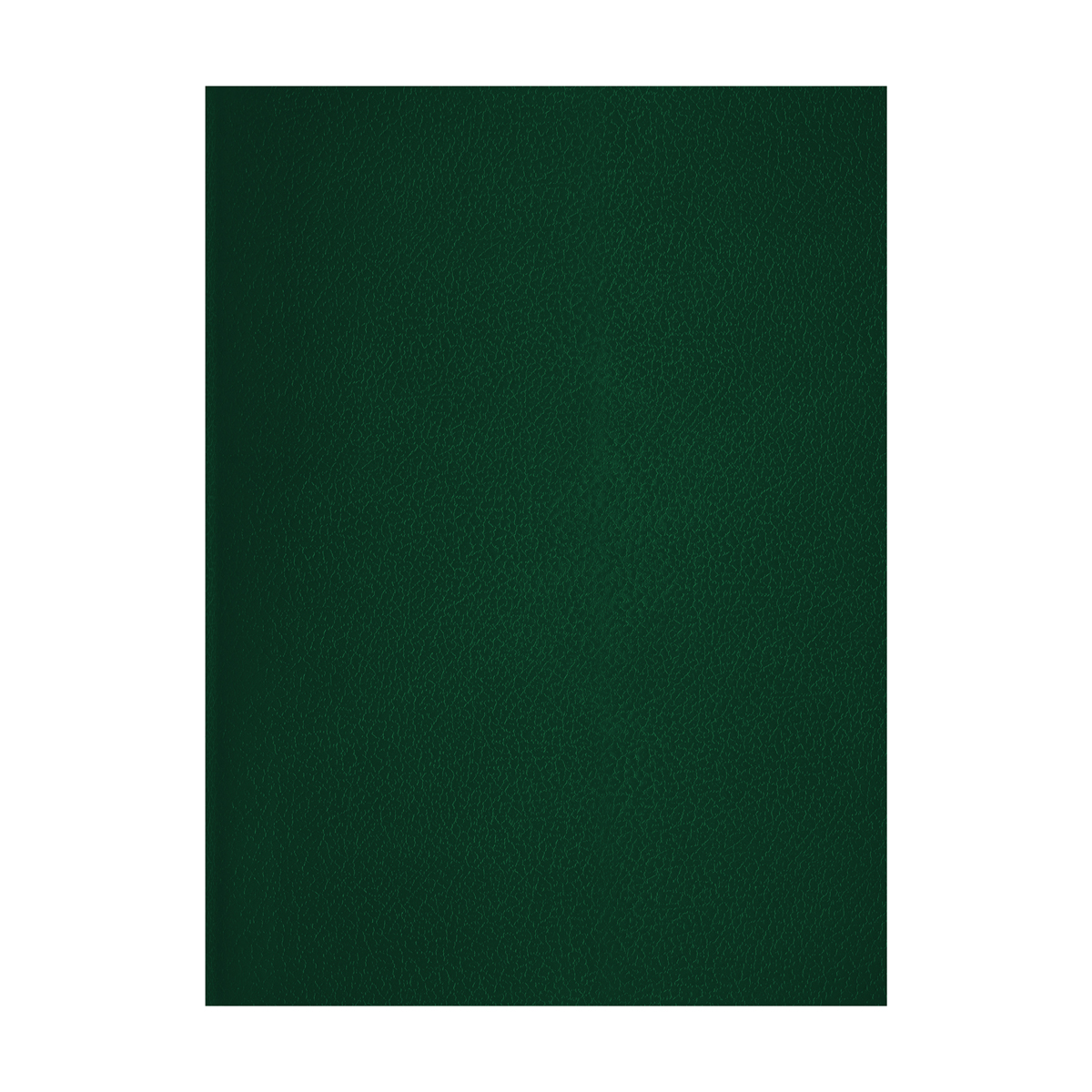 Тетрадь 80л., А4, клетка OfficeSpace, бумвинил, зеленая