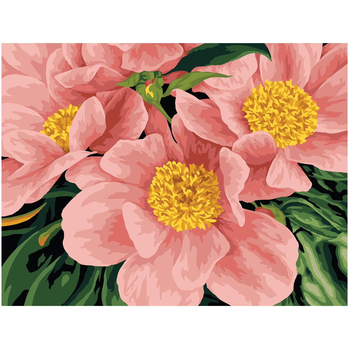 Картина по номерам на картоне ТРИ СОВЫ "Розовый цвет", 30*40, с акриловыми красками и кистями
