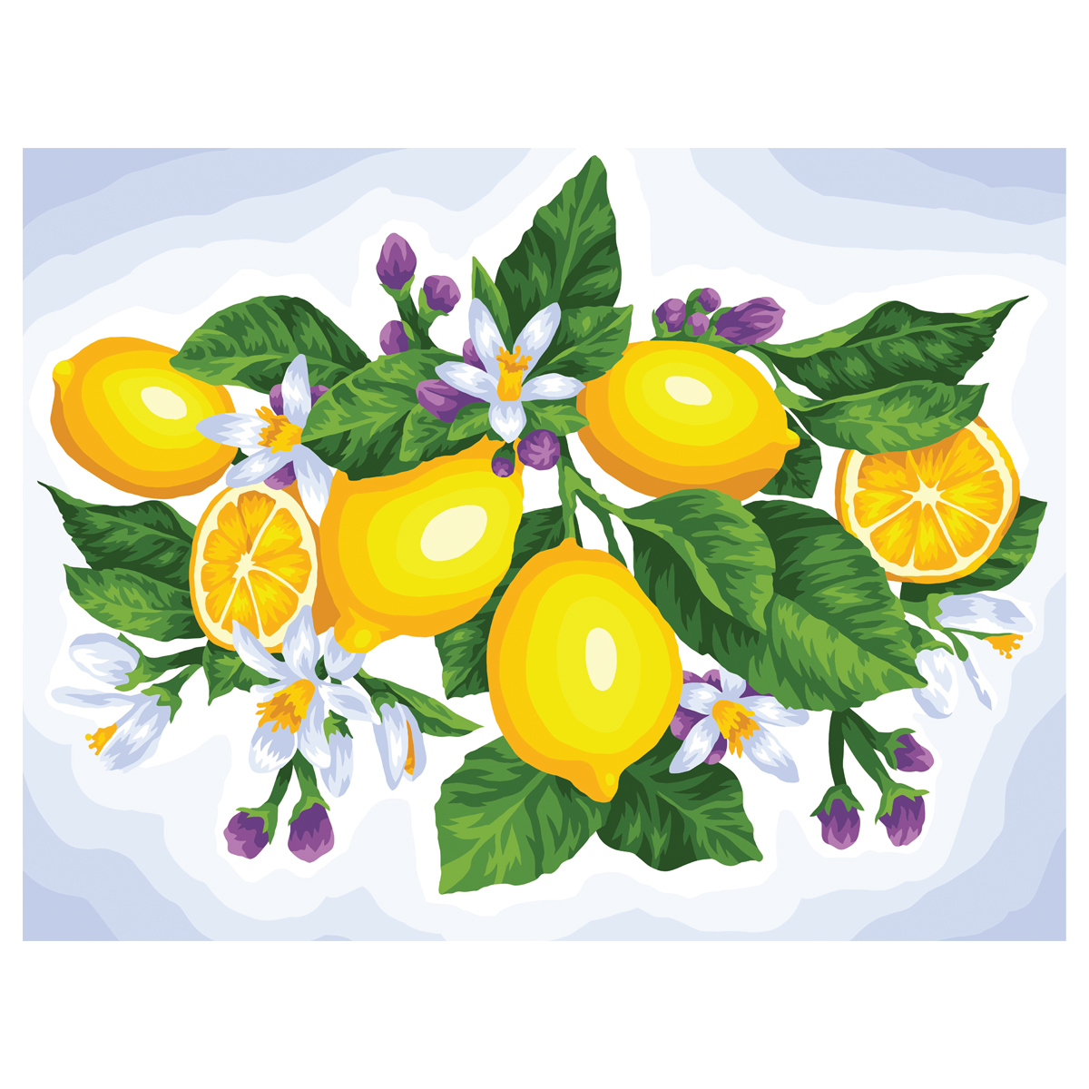 Картина по номерам на холсте ТРИ СОВЫ "Лимоны", 40*50, с акриловыми красками и кистями