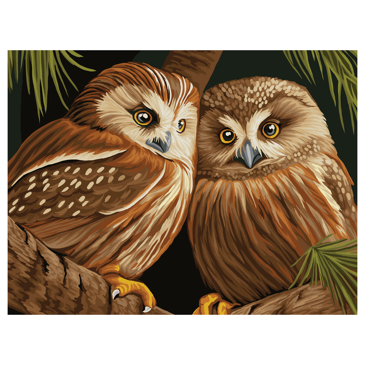 Картина по номерам на холсте ТРИ СОВЫ Две совы, 40*50, с акриловыми красками и кистями