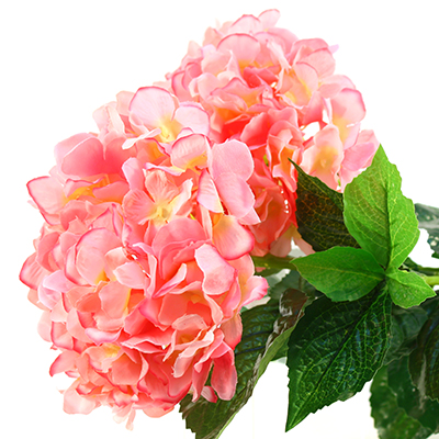 Цветок "Гортензия" 90см, светло-коралловый, 2 цветка-17см (Китай)