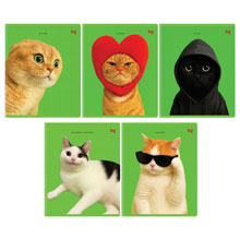 Тетрадь 48л., А5, клетка BG "Во как!", выб. лак