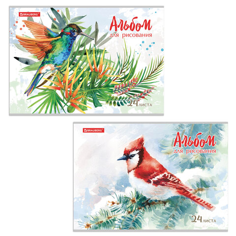 Альбом для рисования А4 24 л., скоба, обложка картон, BRAUBERG, 202х285 мм, Райские птички (2 вида), 105609