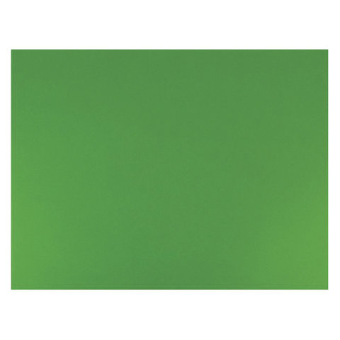 Бумага (картон) для творчества (1 лист) SADIPAL Sirio А2+ (500х650 мм), 240 г/м2, зеленый мох, 7877