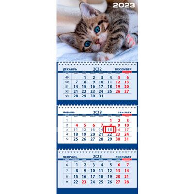 Календарь квартальный на 2023 г Attomex. Серый котенок (295x710 мм) на 3-х пружинах, складной с курсором, кольцо пикколо