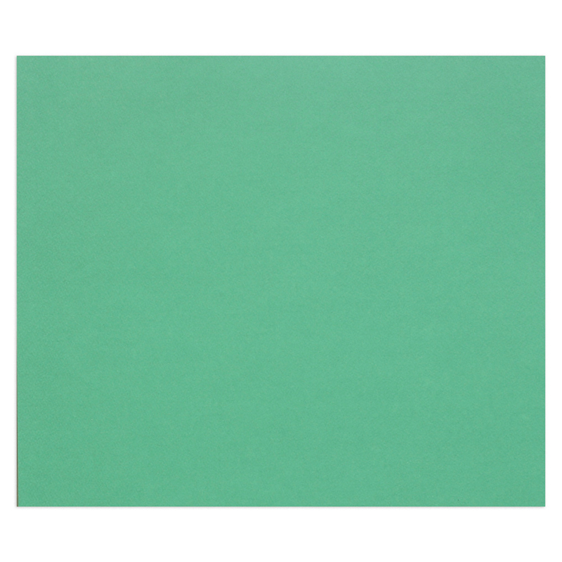 Цветная бумага 500*650мм., Clairefontaine Tulipe, 25л., 160г/м2, темно-зеленый, легкое зерно