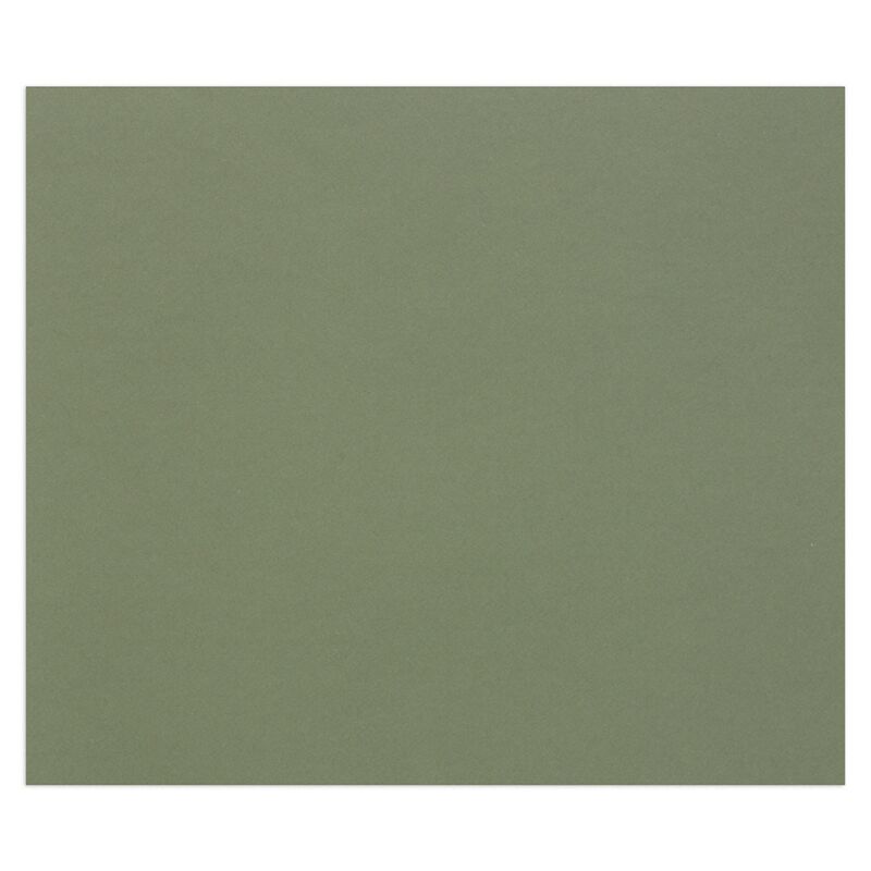 Цветная бумага 500*650мм., Clairefontaine Tulipe, 25л., 160г/м2, зеленый океан, легкое зерно