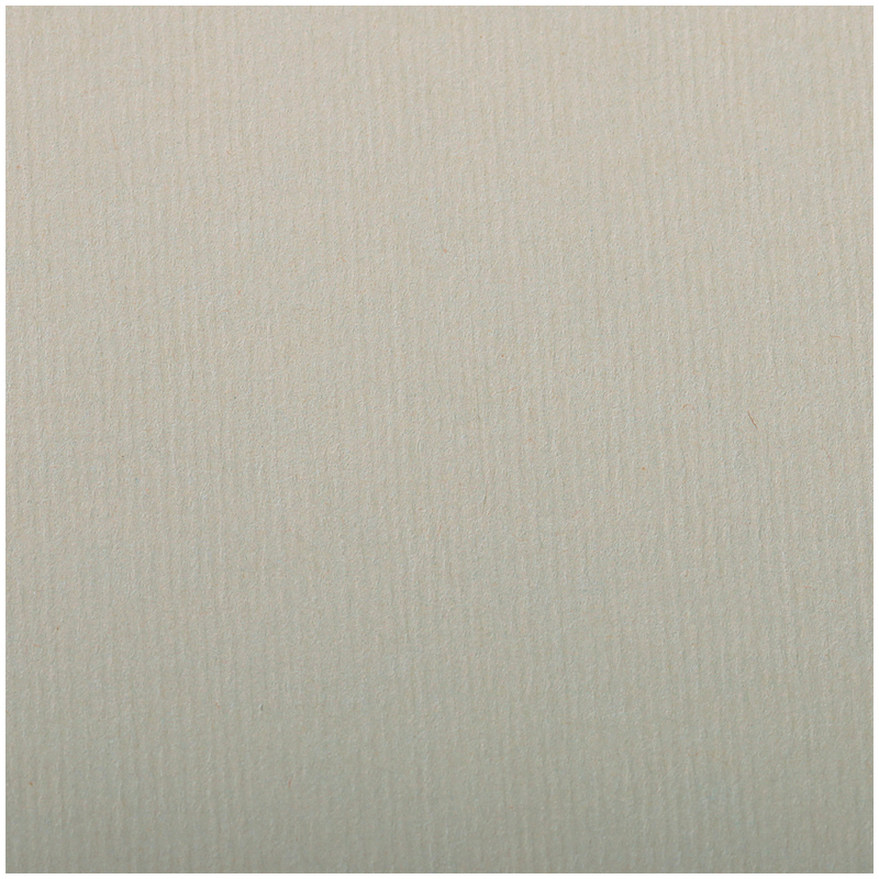 Бумага для пастели 25л. 500*650мм Clairefontaine Ingres, 130г/м2, верже, хлопок, металлик
