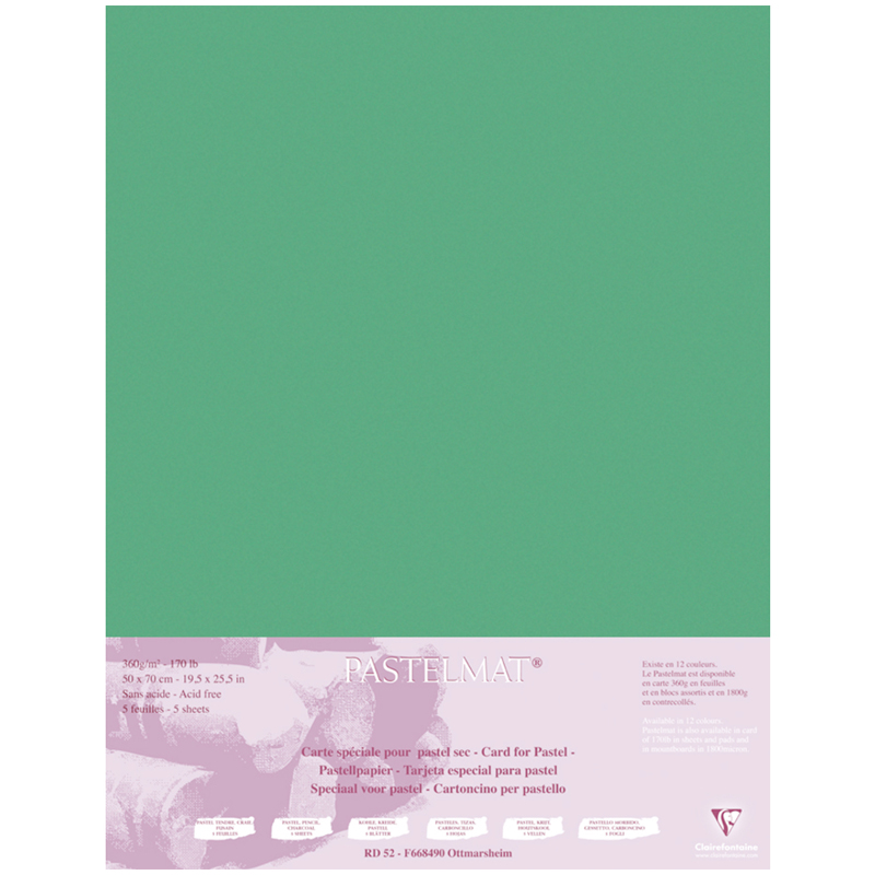 Бумага для пастели 5л. 500*700мм Clairefontaine Pastelmat, 360г/м2, бархат, темно-зеленый