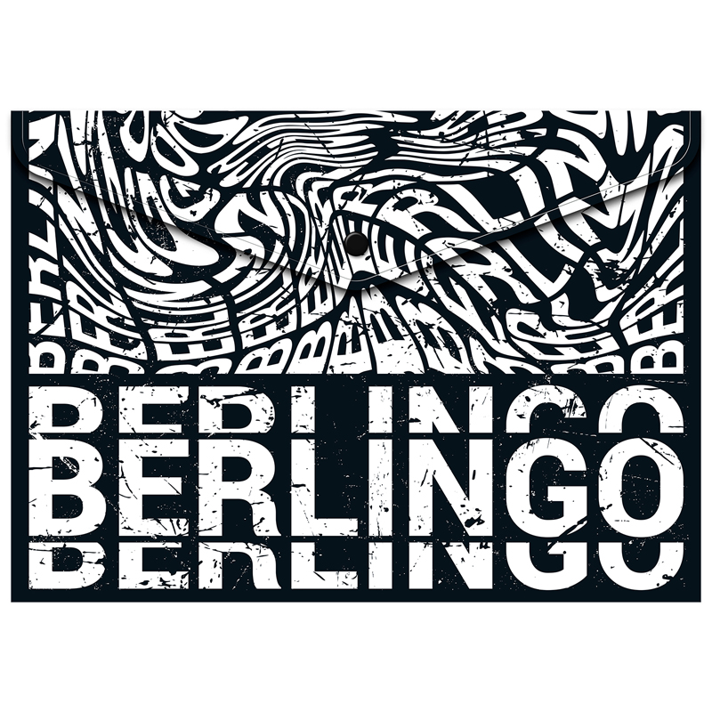 Папка-конверт на кнопке Berlingo Monochrome, 180мкм, с рисунком