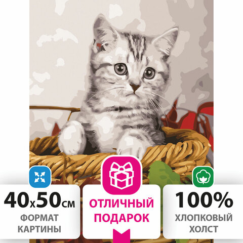 Картина по номерам 40х50 см, ОСТРОВ СОКРОВИЩ Котёнок, на подрамнике, акриловые краски, 3 кисти, 662468