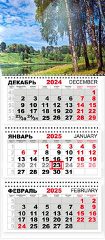 Календарь 2025 ТРИО Природа Берёзы