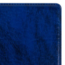 Альбом нумизматика для 380 монет (диаметр до 38 мм) и купюр, 253х238 мм, синий, ОСТРОВ СОКРОВИЩ, 237960