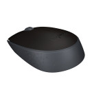 Мышь компьютерная Logitech (910-004424) Wireless Mouse M171, Black