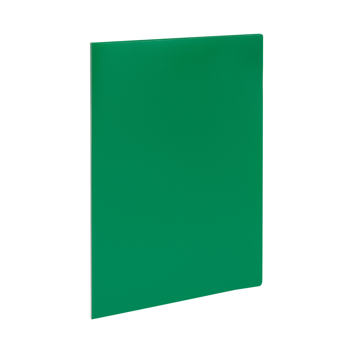 Папка файловая 10 СТАММ А4, 9мм, 500мкм, пластик, зеленая